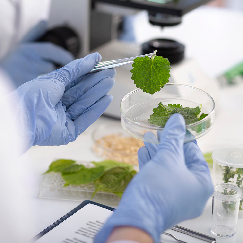 Ανάλυση Εδάφους και Φυλλοδιαγνωστική