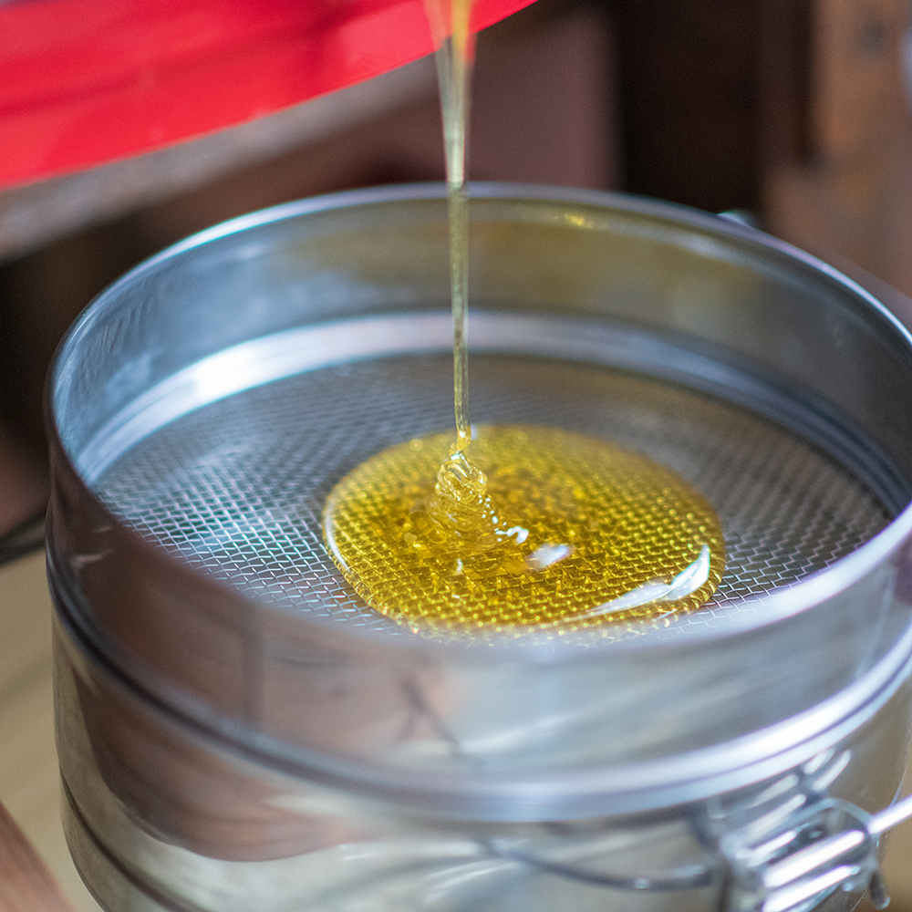 Ανάλυση Μελιού