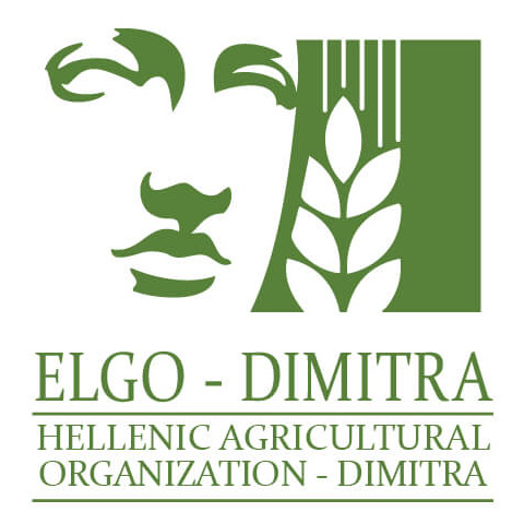 ELGO DIMITRA